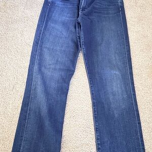 Agolde Deep Blue Denim Jeans